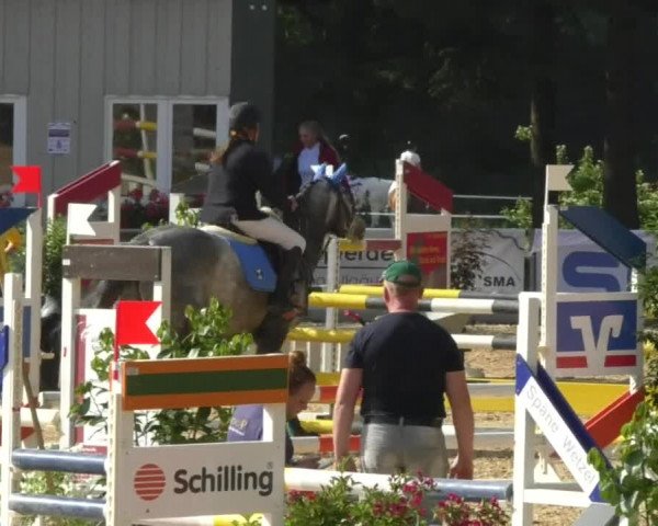 Reitturnier Bad Schussenried 2018