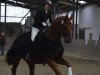 Dressurpferd Rival de Luc (Oldenburger, 2000, von Royal Diamond)