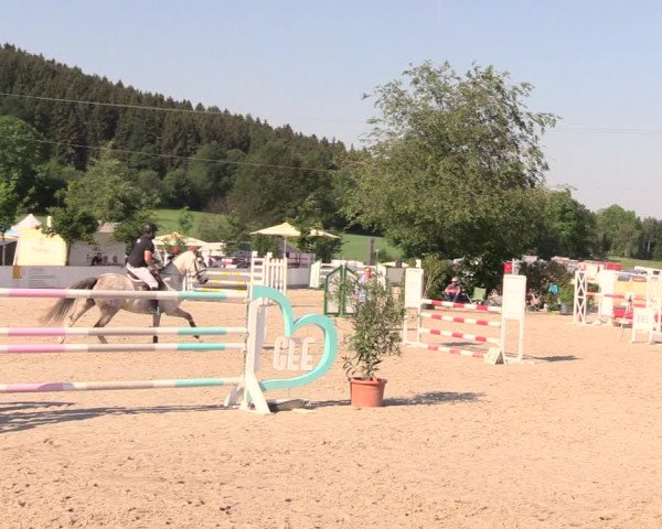 Reitturnier Oberfrauendorf 2018