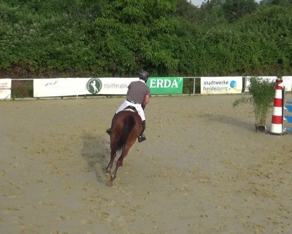 Reitturnier Ladenburg 2018