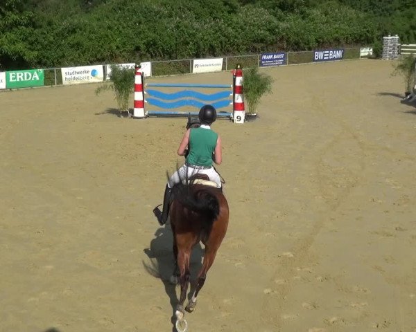 Reitturnier Ladenburg 2018