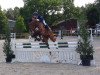 jumper For Granted (Hanoverian, 2007, from For Edition)