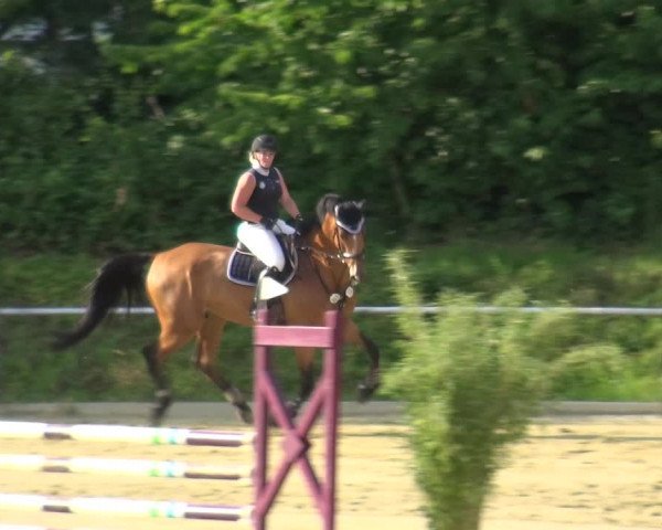 Reitturnier Ladenburg 2018