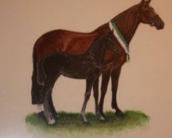 broodmare Wilma (German Warmblood, 1984, from Werther)