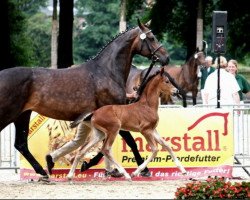 broodmare La Jolie (Rhinelander, 1999, from Lanciano)