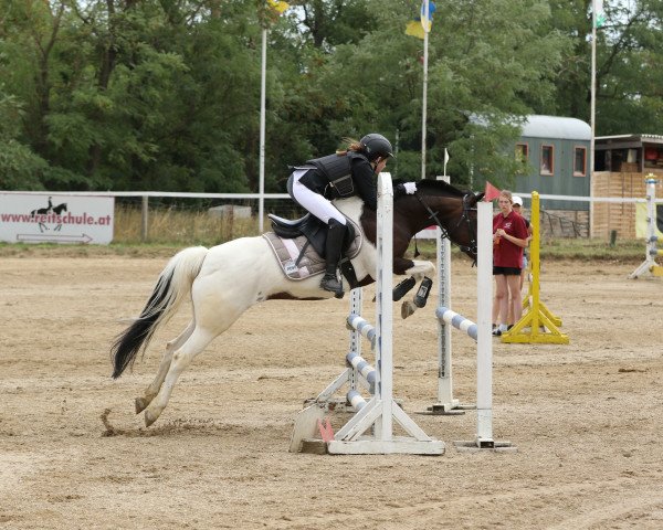 jumper Bloody Mary 4 (Hungarian Warmblood, 2001)