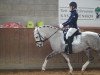 Dressurpferd Cartier's White Chocolate (Deutsches Reitpony, 2014, von Cartier de Deluxe)