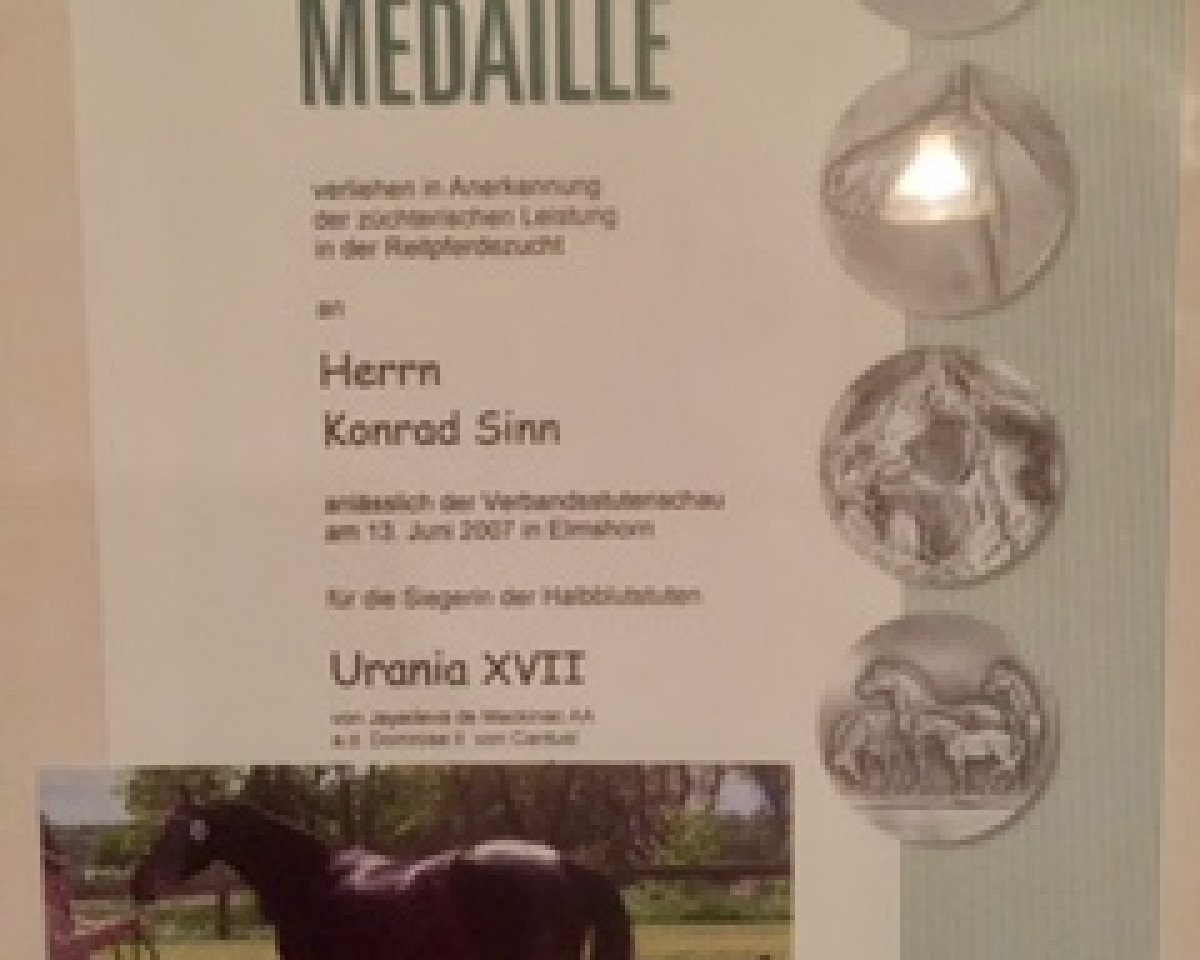 broodmare Urania XVII (Holsteiner, 2004, from Jayadeva de Mackinac AA)