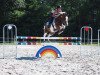 jumper Baladin du Bessey (French Pony, 2011, from Rahan D'Hurl'vent)