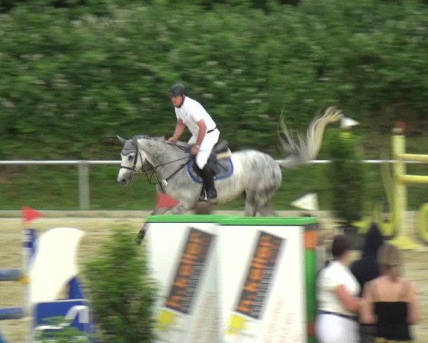 Reitturnier Ladenburg 2018
