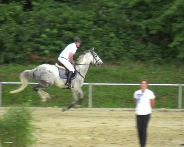 Reitturnier Ladenburg 2018