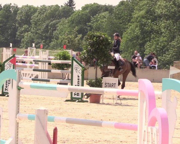 Reitturnier Oberfrauendorf 2018