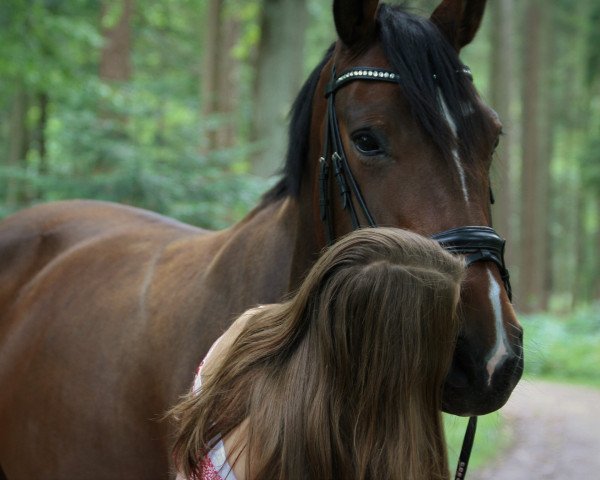 broodmare Donna Henrietta (Hanoverian, 2008, from Don Henrico)