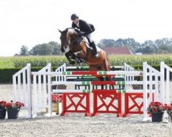 jumper Endless Love 6 (Oldenburg show jumper, 2012, from Diarado)