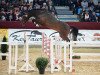 stallion Casselot (German Sport Horse, 2015, from Cassoulet)