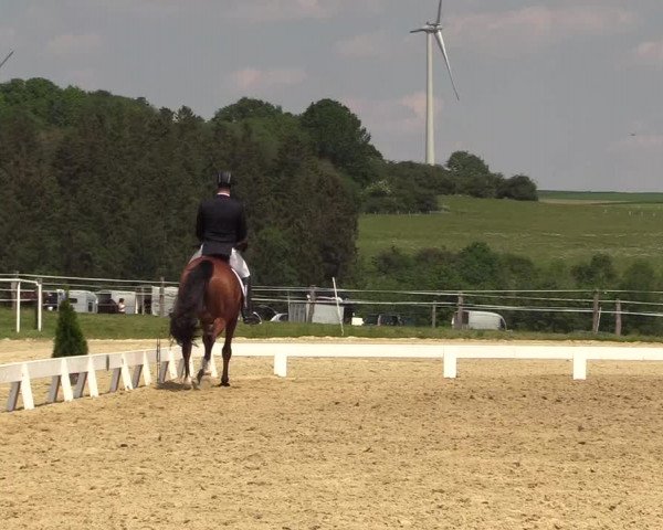 Reitturnier Brilon 2018