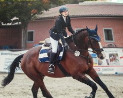 jumper CT 2 (Oldenburg show jumper, 2004, from Cellini 8)