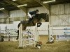 jumper Turlough Duggie (Irish Sport Horse, 2006, from Douglas)