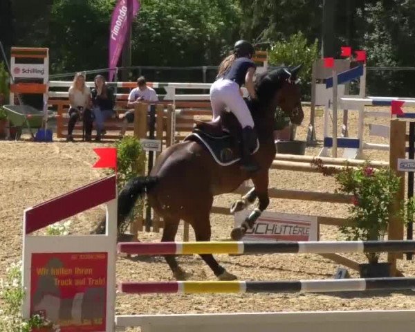 Reitturnier Bad Schussenried 2018
