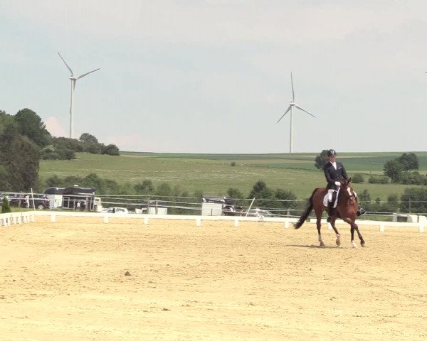 Reitturnier Brilon 2018