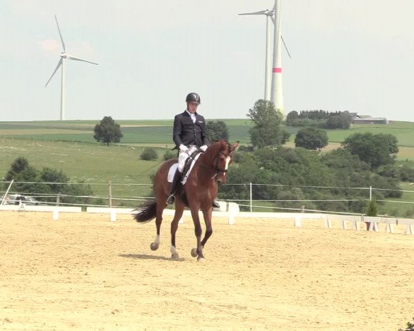 Reitturnier Brilon 2018