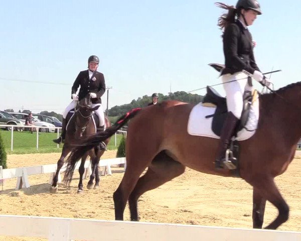 Reitturnier Brilon 2018
