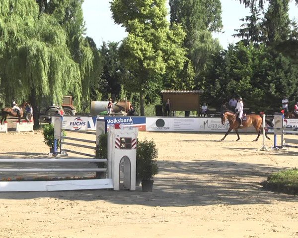 Reitturnier Viernheim 2018