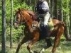 jumper Danger Red (Hanoverian, 2009, from Diamond Hit)