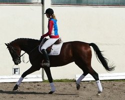 dressage horse Quant (Mecklenburg, 2012, from Quaterback)