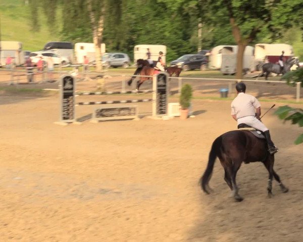Kiersper Reitertage 2018