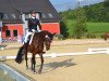 broodmare Nevada 203 (German Sport Horse, 2012, from Lefevre)