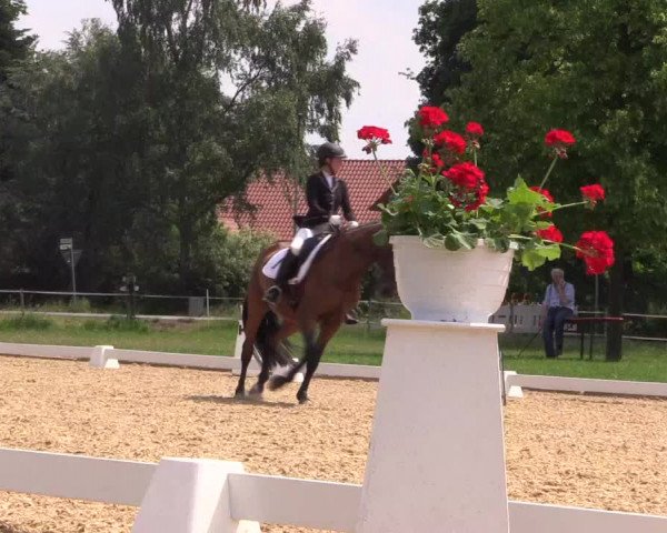 Reitturnier Hille 2018