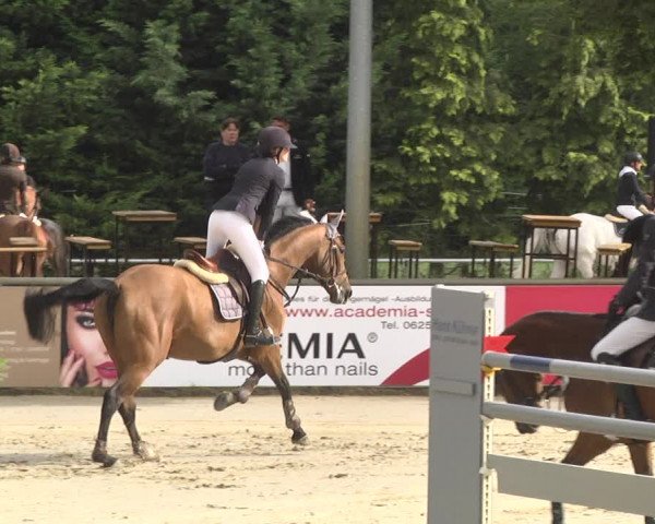 Reitturnier Viernheim 2018