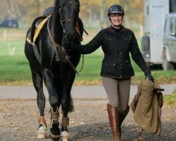 jumper Dodge de luxe (Hanoverian, 2007, from Depardieu 11)