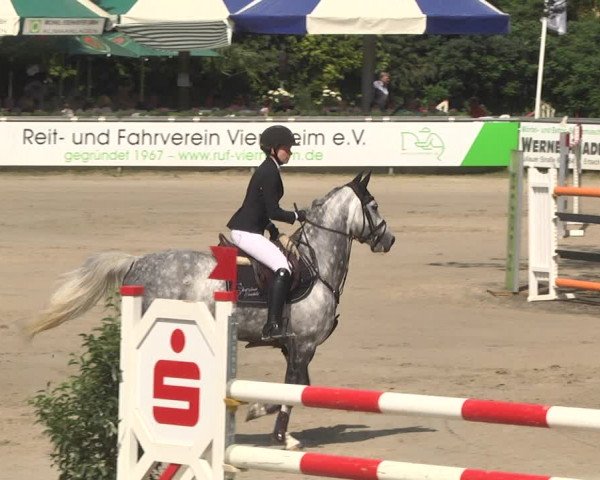 Reitturnier Viernheim 2018
