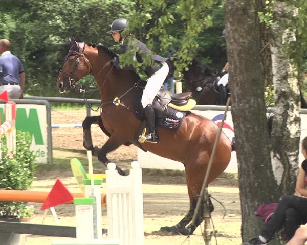 Reitturnier Viernheim 2018