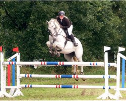 jumper Calli S (Hanoverian, 2009, from Calido I)