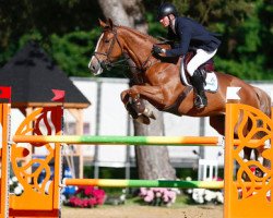 jumper Eurohill's Africa (KWPN (Royal Dutch Sporthorse), 2005, from Guidam)