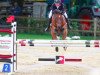 jumper Matchano (German Riding Pony, 2008, from Matchello)