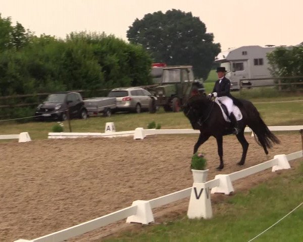 Reitturnier Schillerslage 2018