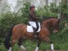 dressage horse Lando 319 (unknown, 2006)