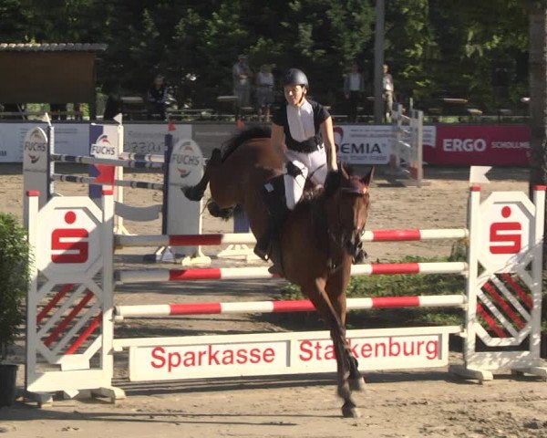Reitturnier Viernheim 2018