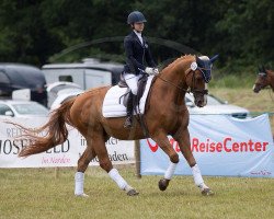 dressage horse Willouby (Hanoverian, 1998, from Weltmeyer)