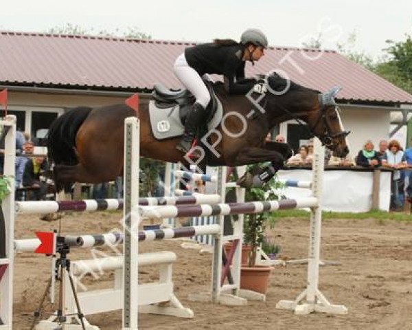 jumper Miss Milla (Hanoverian, 2007, from Magic Boy)