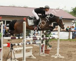 jumper Miss Milla (Hanoverian, 2007, from Magic Boy)