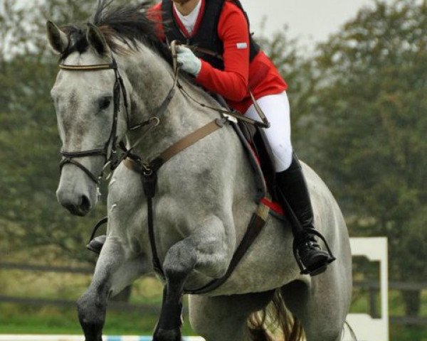 broodmare Bejona A (KWPN (Royal Dutch Sporthorse), 2006, from Cartano)