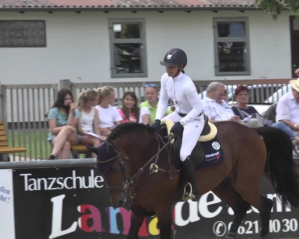 Reitturnier Viernheim 2018