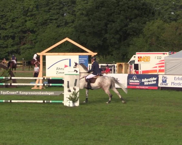 Reitturnier Schillerslage 2018