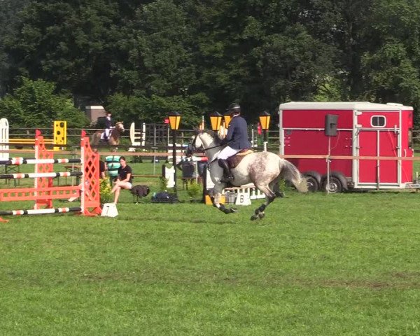 Reitturnier Schillerslage 2018