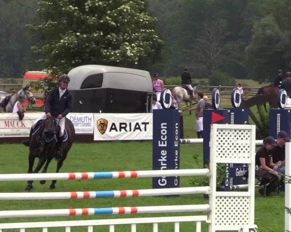 Reitturnier Schillerslage 2018